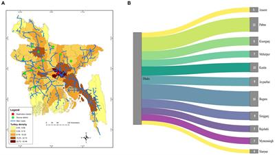 Annual trading patterns and risk factors of avian influenza A/H5 and A/H9 virus circulation in turkey birds (Meleagris gallopavo) at live bird markets in Dhaka city, Bangladesh